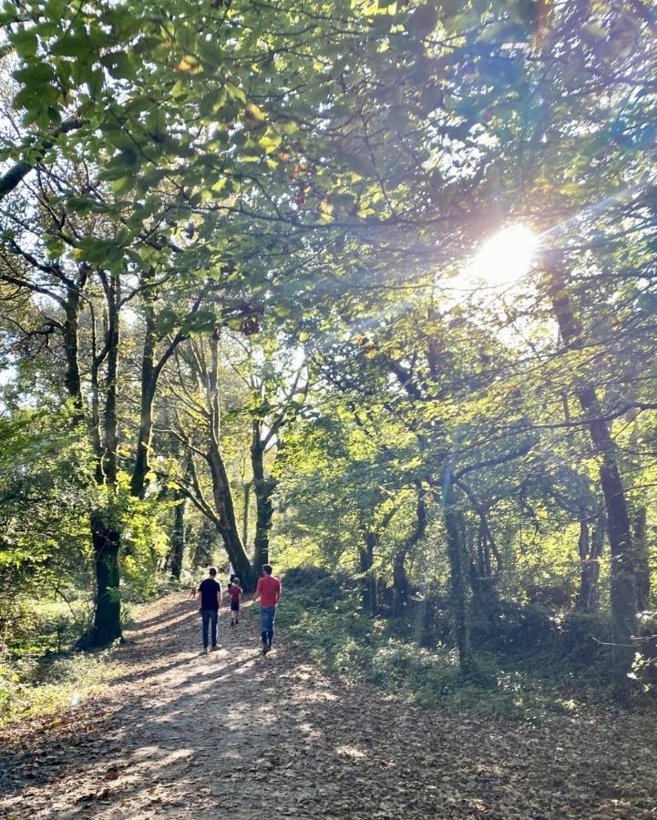 فندق سانت أوستيلفي  The Kingswood المظهر الخارجي الصورة